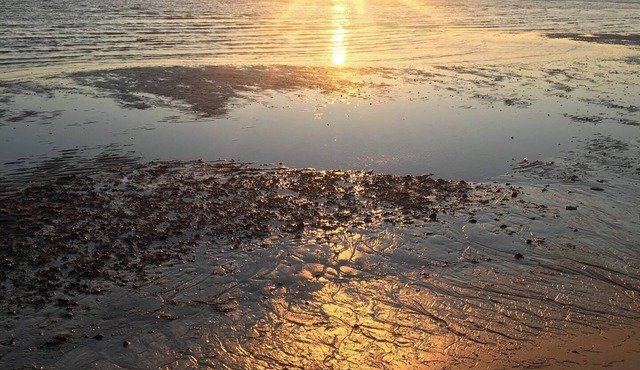 Centrally located to fishing, biking, hiking, beaches, and seafood restaurants.