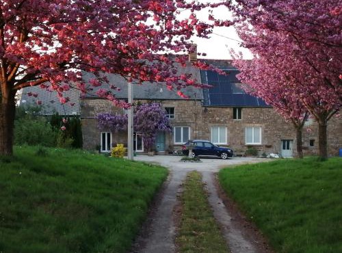 Cherry Tree Avenue