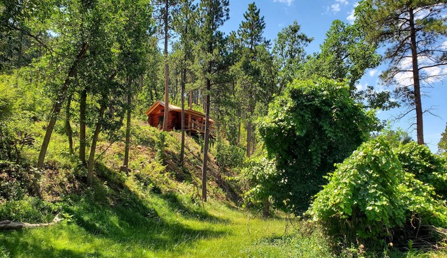 Cozy Cabin nestled on the side of our 21 acre mountain - 10 min to Spearfish!