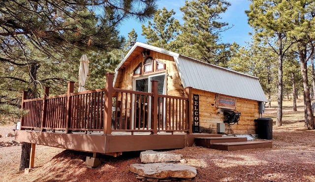 Cozy Cabin with AC, heating, hot tub, at Painted Buffalo Resorts