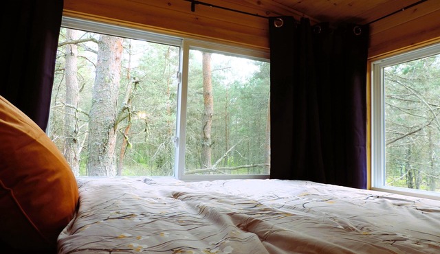 Cozy Tiny Cabin w Nature Shower & Wi-Fi | Near Mikisew Provincial Park & Lakes
