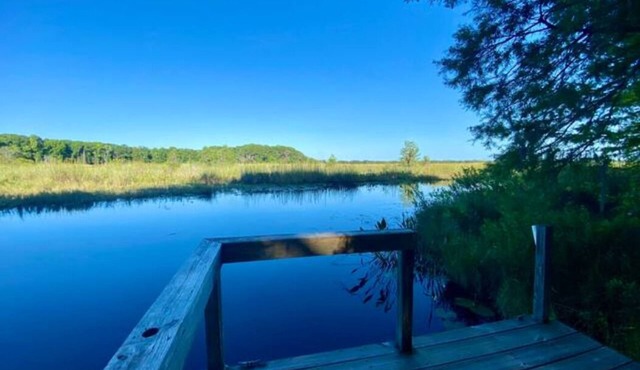 Cypress Fish Camp