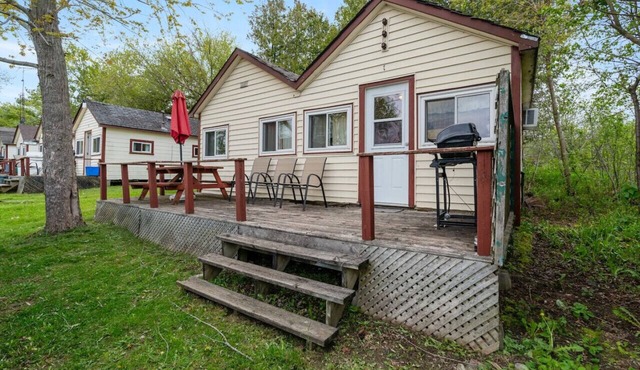 Dive into Nature at Rice Lake