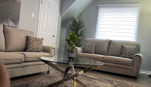 Downtown - Large Modern 2 BR APT + 1 Free Parking
