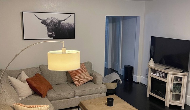 Downtown spacious 3 bedroom