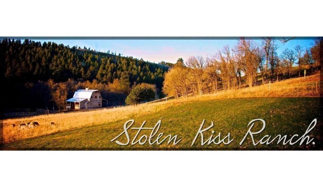 Exclusive,Prisitne, Close to Deadwwod,Sturgis,Spearfish,20 acres, Pets Welcome.