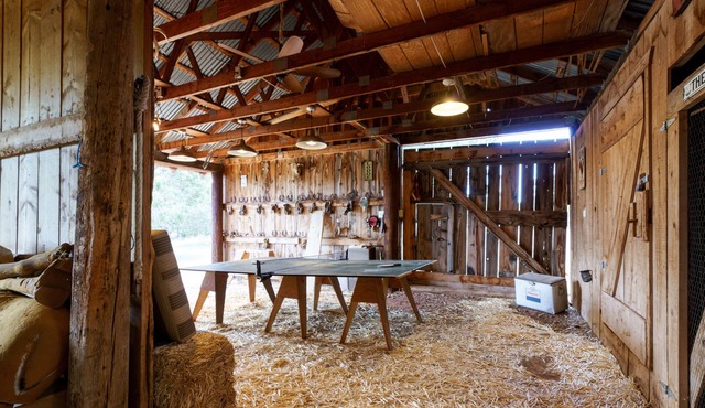 Flying Fox Ranch - Cabin on 15 Acre lot w/Tree Fort, Social Barn & Forest Access