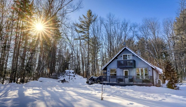 Forest Tranquility: Secluded Pet-Friendly Cabin with a Hot Tub in Kawartha Lakes, Ontario