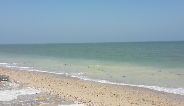 GITE 8 PEOPLE NEAR BEACHES OF THE LANDING "SMALL SOURCES"