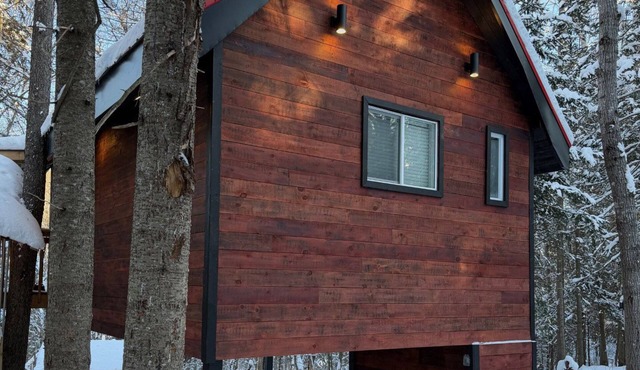 Haus in the Trees