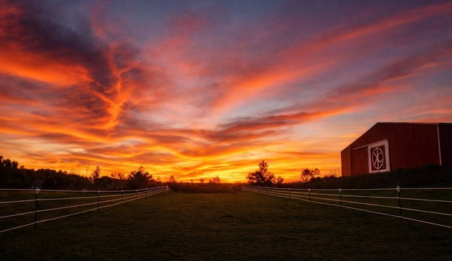KC's Hideout your true Western retreat in the heart of Amish Country!
