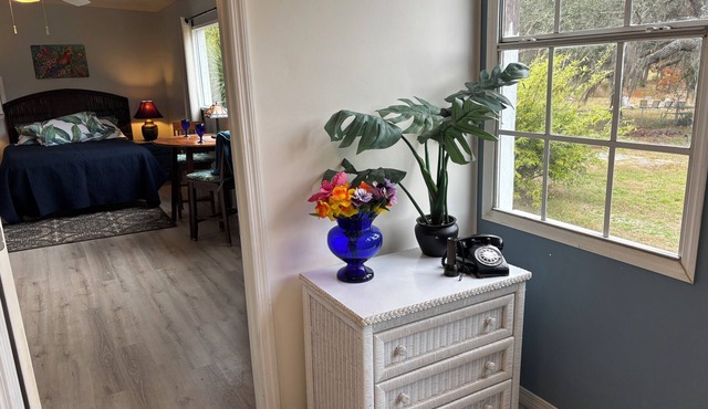 Lakeview, Studio Apt on Nature Coast, Natural, Clean, Calm