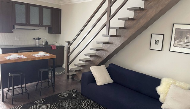 Large Contemporary Fully Furnished One Bedroom with on Suite Bathroom