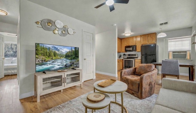 Luxury 2 Beds/2 Baths/Mins to Midtown/Va Med Center & Reno-Tahoe Int Airport