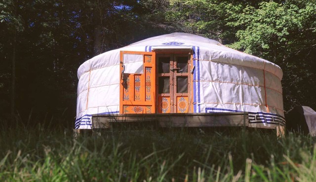 Luxury Yurt Camping for Four Guests in Mattawa, Ontario, Canada