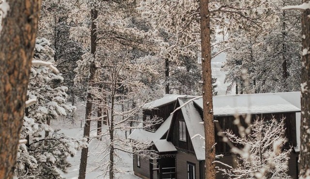 Modern Cabin in the forest with Hot tub