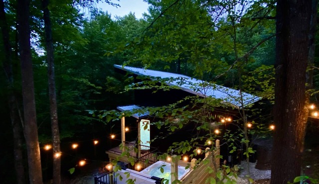 Modern RRG Cabin | Epic Treetop Views | Hot Tub & Fire Pit