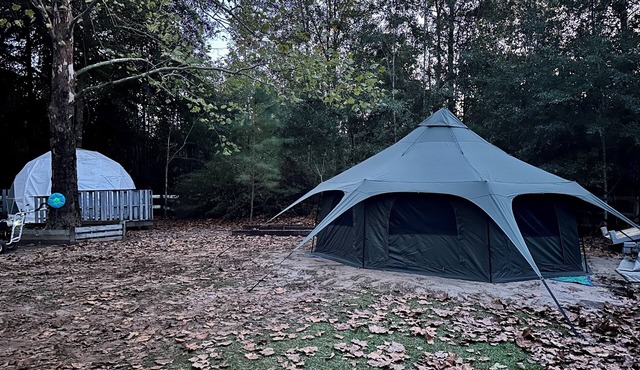 Mr. Waffles tent glamping Farmstay