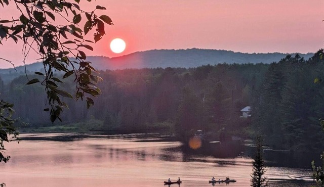 New cottage on Forest Lake with spectacular sunset views and fun on the water!