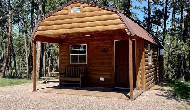Outstanding Cabin Perfect for a Serene Holiday in South Dakota