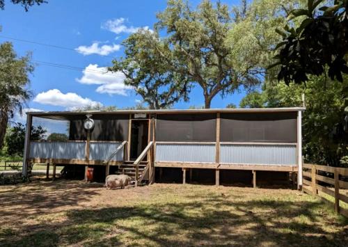 Peaceful Animal Sanctuary Farm Stay on Rescue Farm Near Gainesville & Jacksonville in Melrose, Florida