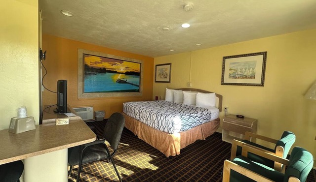 Pet-Friendly Stay Near Daytona Beach Perfect for Beachgoers & Business Travelers