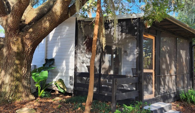 Pine Forest Studio, serene winding lane to cozy retreat.