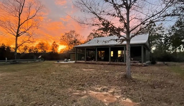 Private and peaceful setting surrounded by Longleaf Pines on the Perdido River