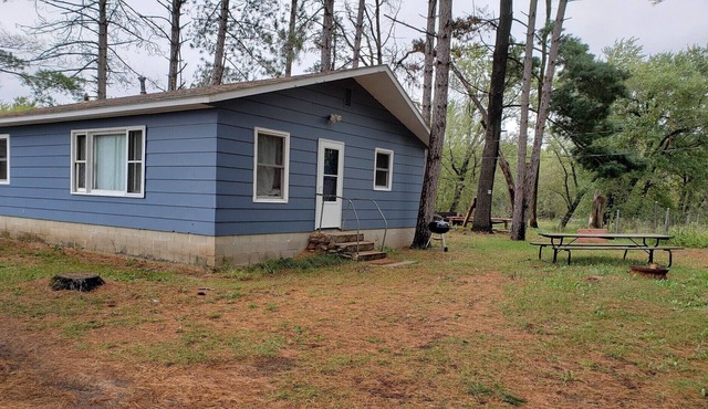 Private Cabin nestled in pines and a short walk to Wisconsin River on 72 acres