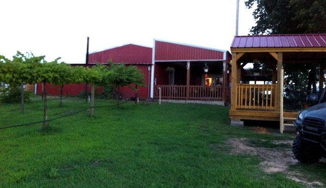 Secluded Getaway on a Vineyard in Allen, Oklahoma