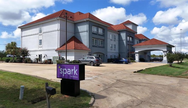 Spark by Hilton Brandon