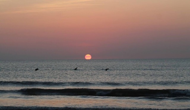 Spectacular Ocean and Pool View Ormond Beach Florida Condominium