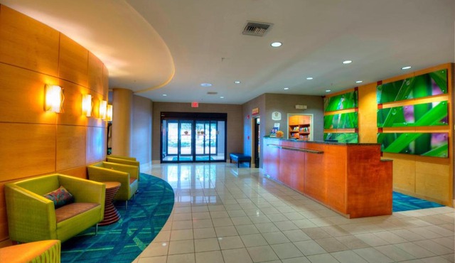 SpringHill Suites by Marriott - Tampa Brandon