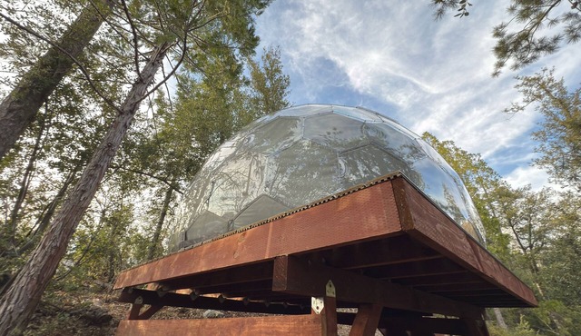 Stargazing dome with Forest Cottage/Lakefront Private Beach with canoe