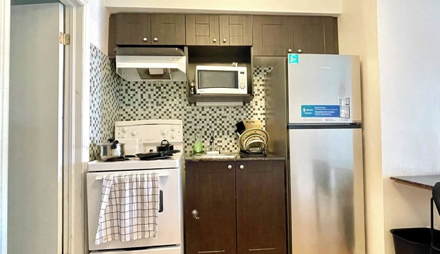 Steps from McGill: A Bright, Central Apartment for Your Summer Adventure