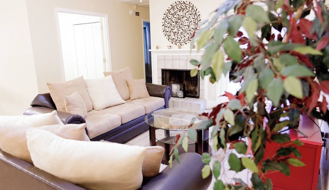Tallahassee Gem: Cozy, Cute & Convenient