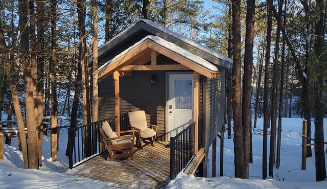 Tiny Treehouse Cabin | Bluff Woodlands #2