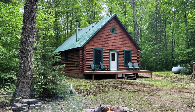 True North - Cozy log cabin in the woods off the grid near Tahquamenon Falls