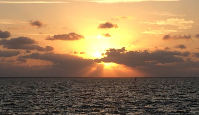 Waterfront condo, seasonal, corporate, monthly rental. View rocket launches!