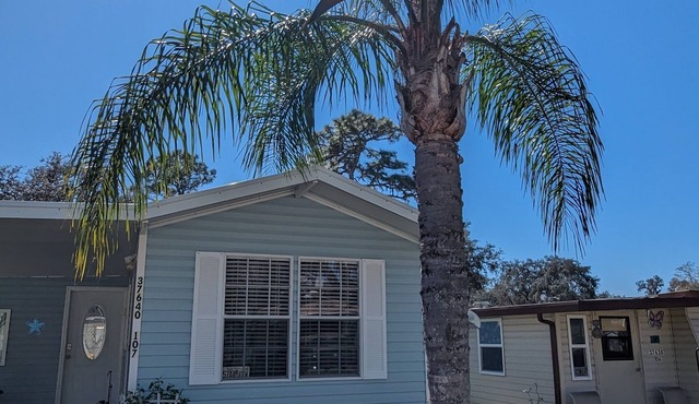 Zephyrhills Florida close to Tampa, Zoo, Hard Rock, and Bush Gardens. Pool.