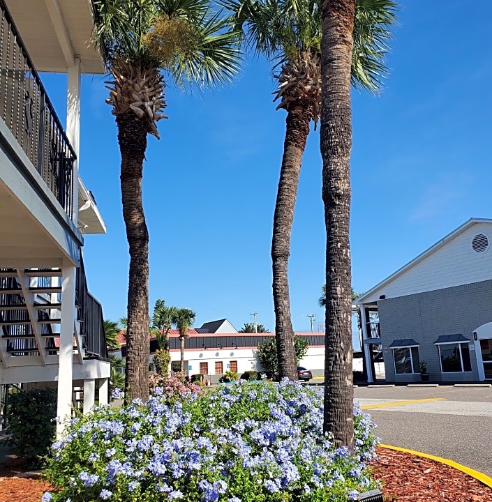 Titusville Hotel | Best Western Space Shuttle Inn