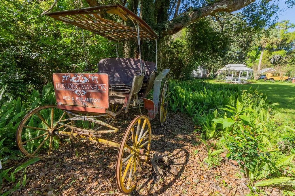 Photo of Others in Micanopy