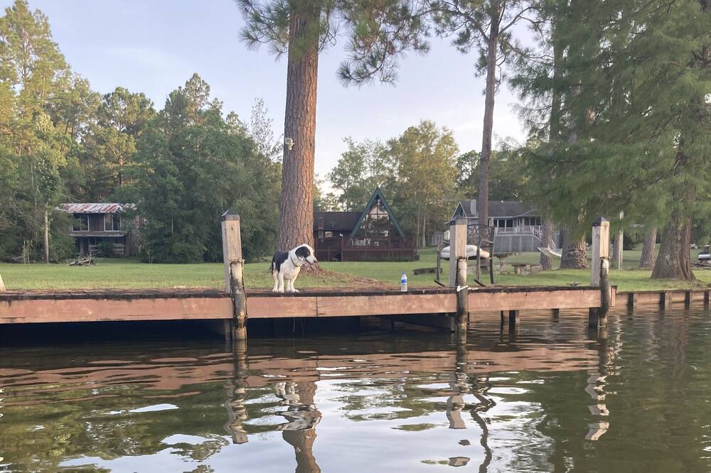 Photo of Outdoor in Perkinston