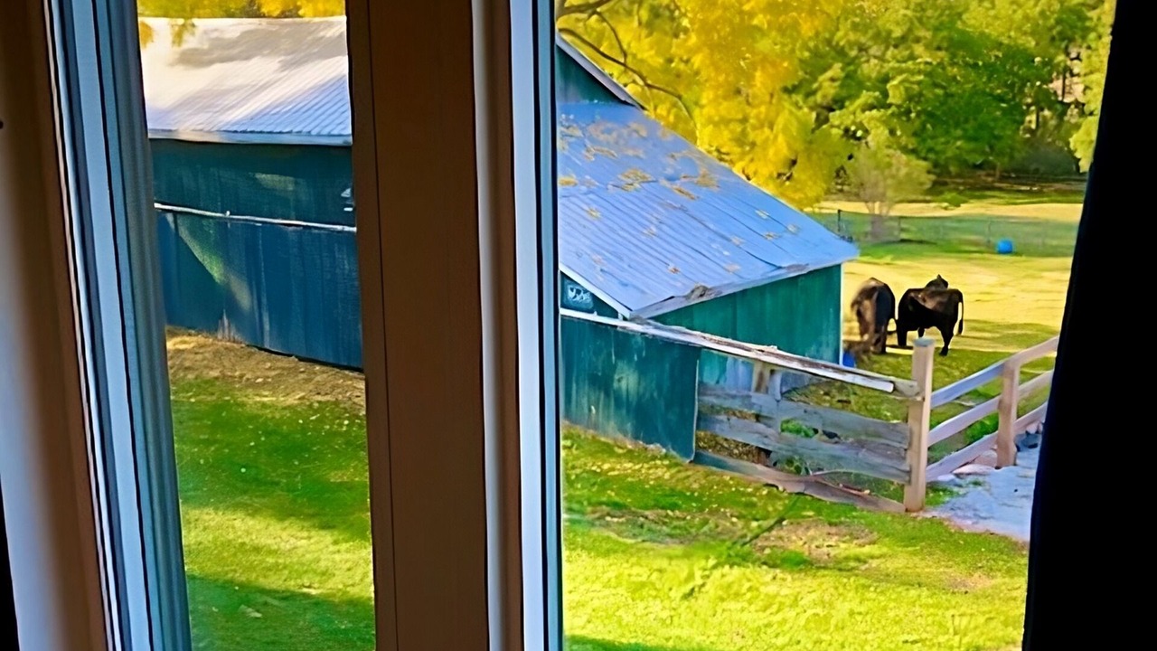 Photo of Others in New Tecumseth