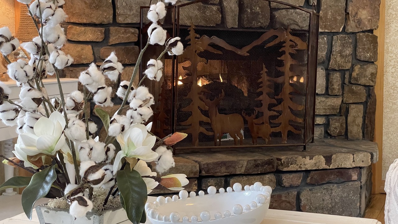 Photo of Livingroom in Mount Ida