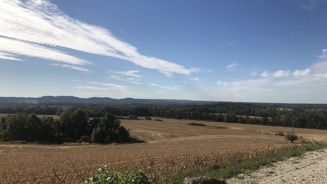 Photo of Others in Elsberry