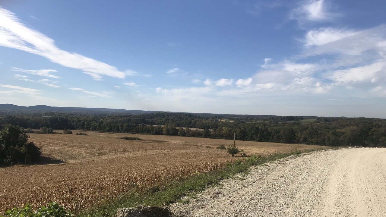 Photo of Others in Elsberry