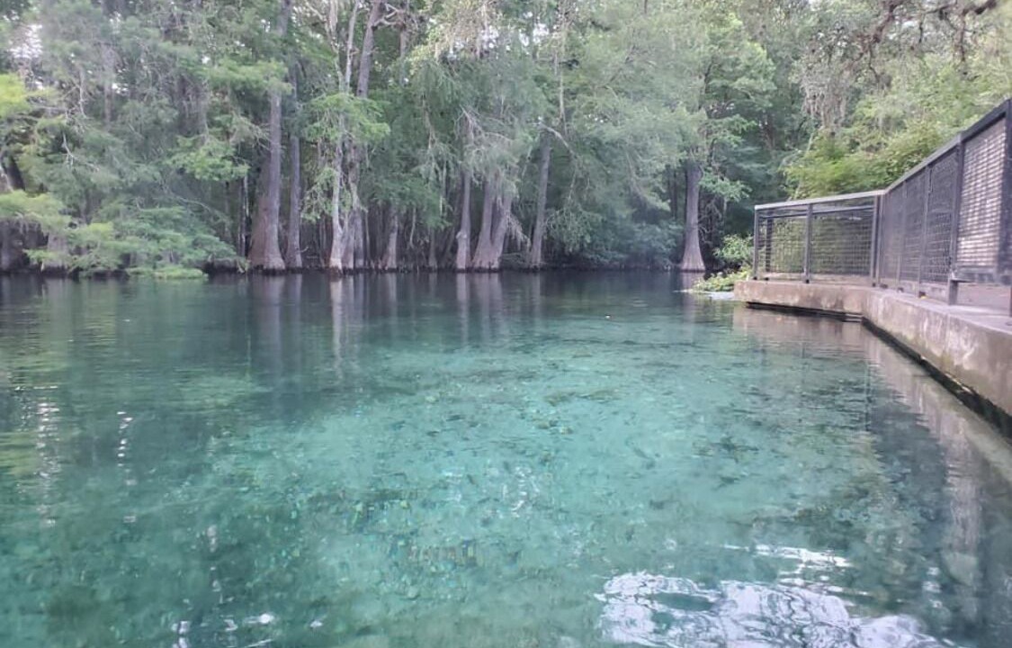 Photo of Others in Fanning Springs