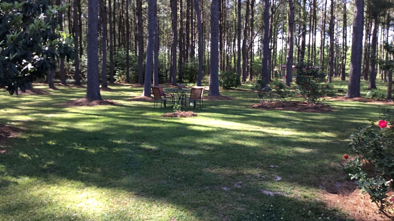 Photo of Outdoor in Perkinston