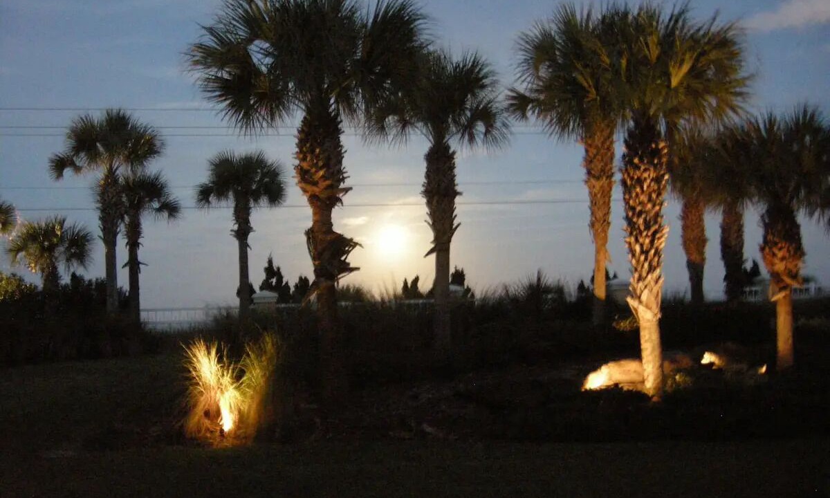 Photo of Outdoor in Flagler Beach